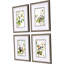 Botanical Reverie S/4 Print by Bragg Propac Images