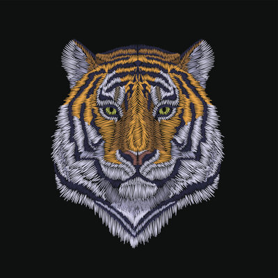 Tiger Head - Wrapped Canvas Print