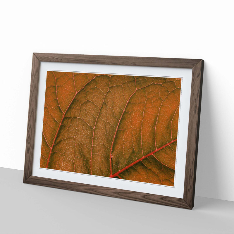 Leaf Veins - Picture Frame Photograph Print, 48cm H x 65cm W x 2cm D, Walnut Framed
