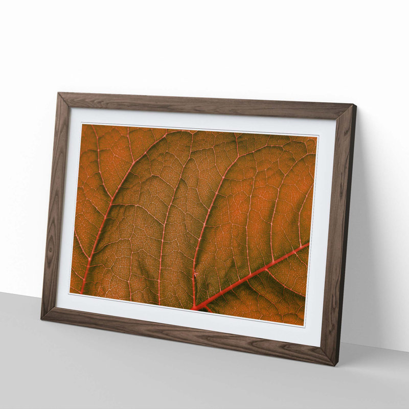 Leaf Veins - Picture Frame Photograph Print, Walnut Framed, 36cm H x 48cm W x 2cm D
