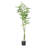 63" ARTIFICIAL PACHIRA MACROCARPA