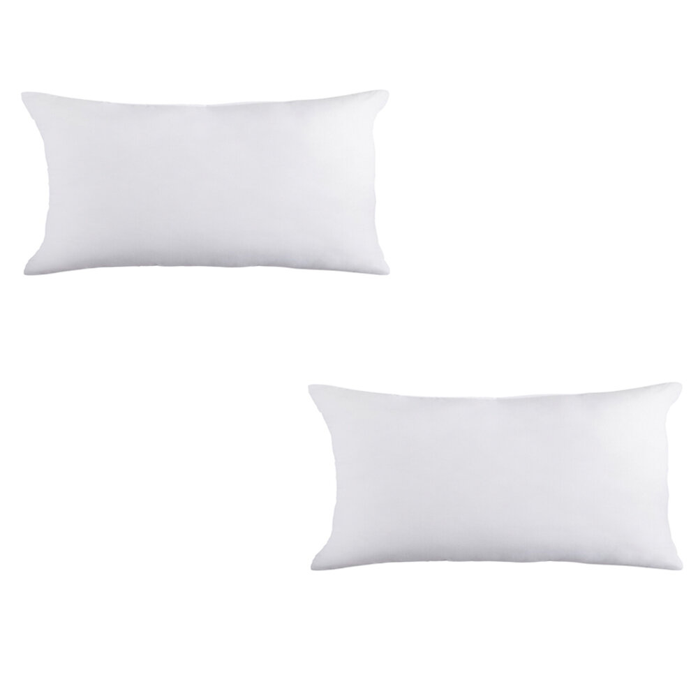 https://assets.wfcdn.com/im/89817690/compr-r85/1328/132805872/iredell-pillow-insert.jpg