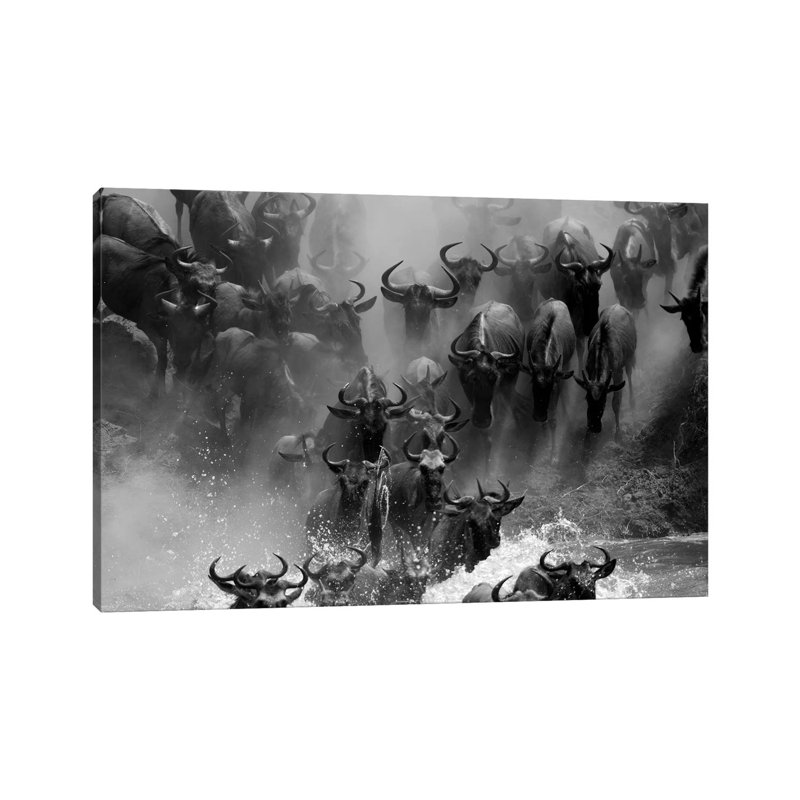 Wildebeest Crossing by Mogens Trolle - Wrapped Canvas Gallery-Wrapped Canvas Giclée, 20.32 cm H x 30.48 cm W