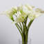 Arrangement floral de lys Calla dans un vase-980272917