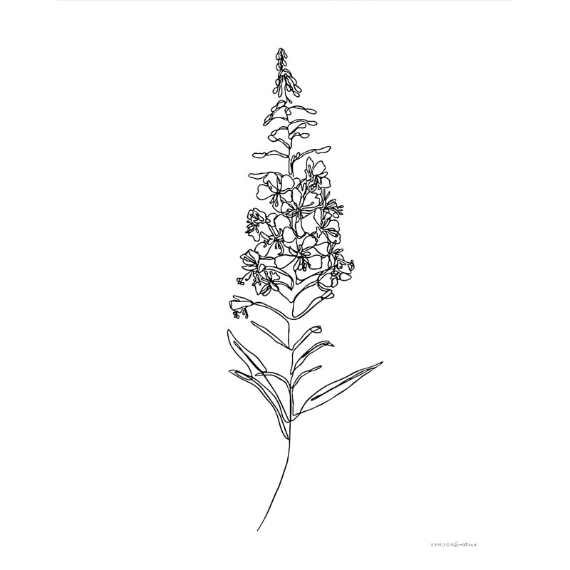 Fireweed - reproduction sur toile tendue, H 16 po x l 12 po