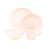 Rose tendre