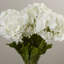 Grande agencement floral hortensia en vase