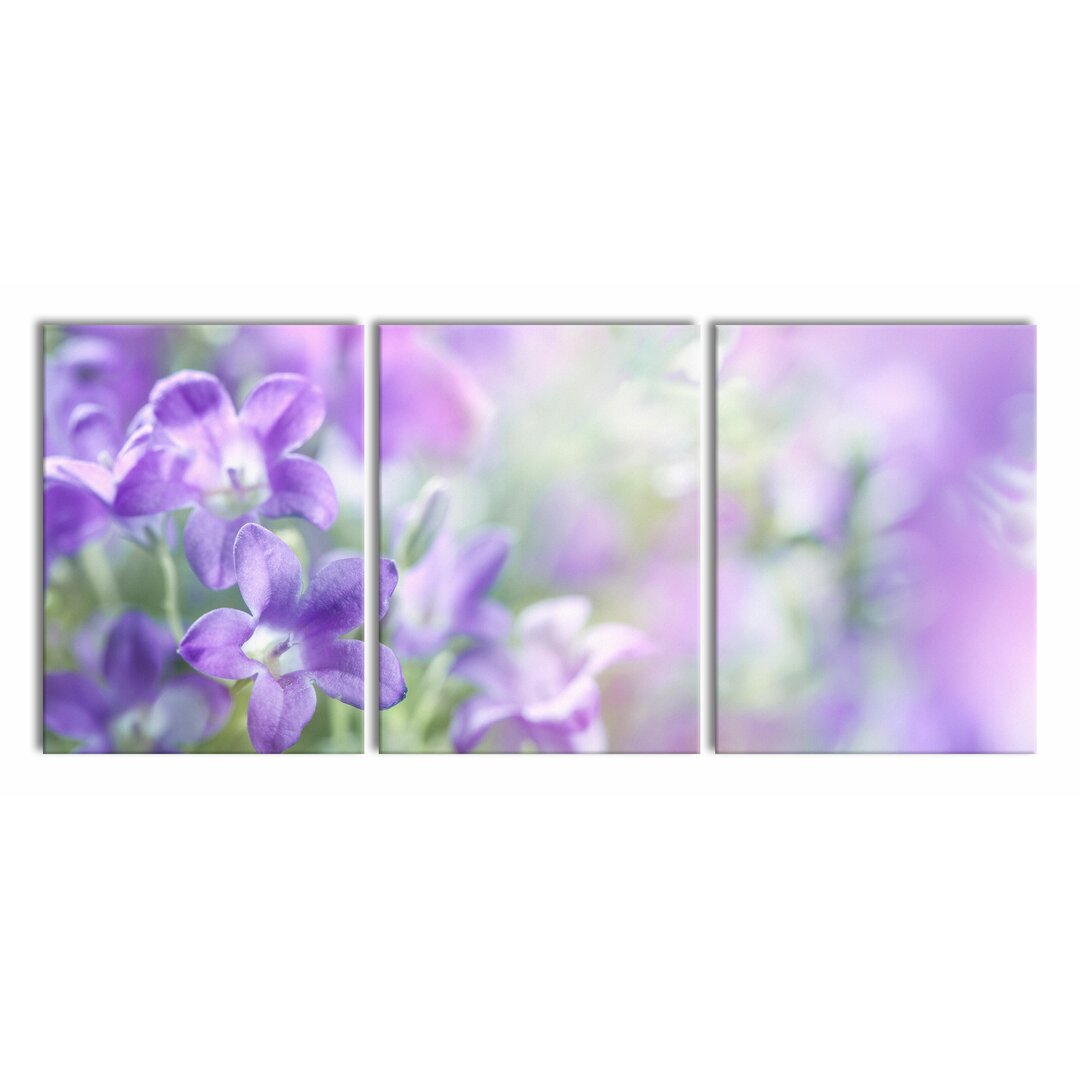 3-tlg. Leinwandbilder-Set Purple Lavender Flowers