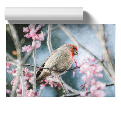 A House Finch Bird - No Frame Print