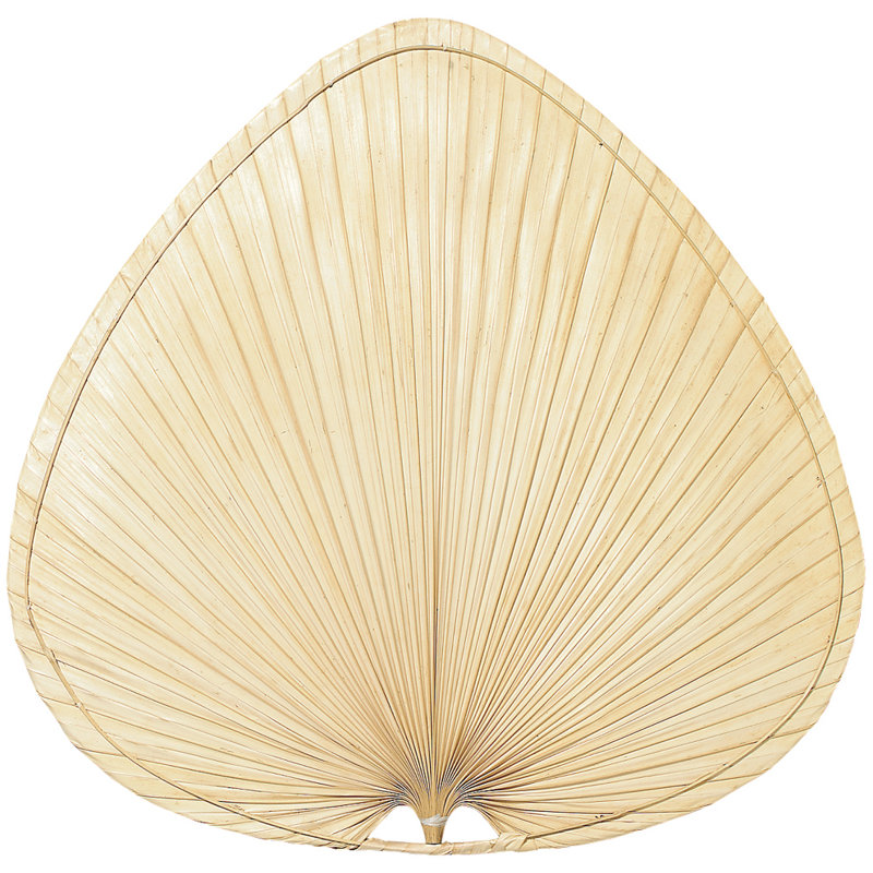 Ventilateur de plafond 18 po, Palmier naturel / 22 po