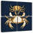 Brampt Crabs Navy-109098598