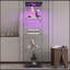 Élégante vitrine au sol avec plusieurs tablettes et porte-237089571-237089572