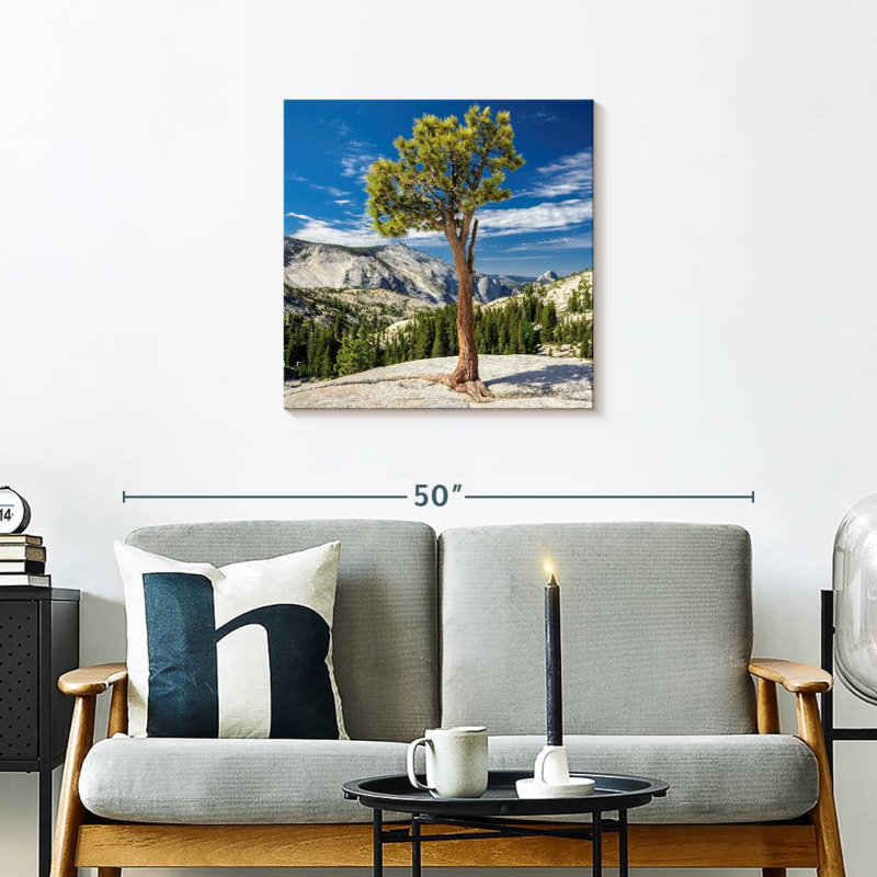 Arbre Harnek Yosemite Park, H 24 po x l 24 po