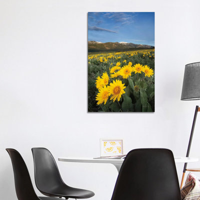 Methow Valley Wildflowers III by Alan Majchrowicz - Wrapped Canvas Print