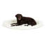 Lit d'angle pour chien en mousse à mémoire de forme Puprug-485717344-485717347