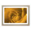 Golden Rose Flower in Abstract - Picture Frame Graphic Art Print-55735229-55735228