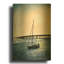 « Days End » de Dann Spider Warren, tableau mural en métal doré, 61 x 91 cm-2005900422