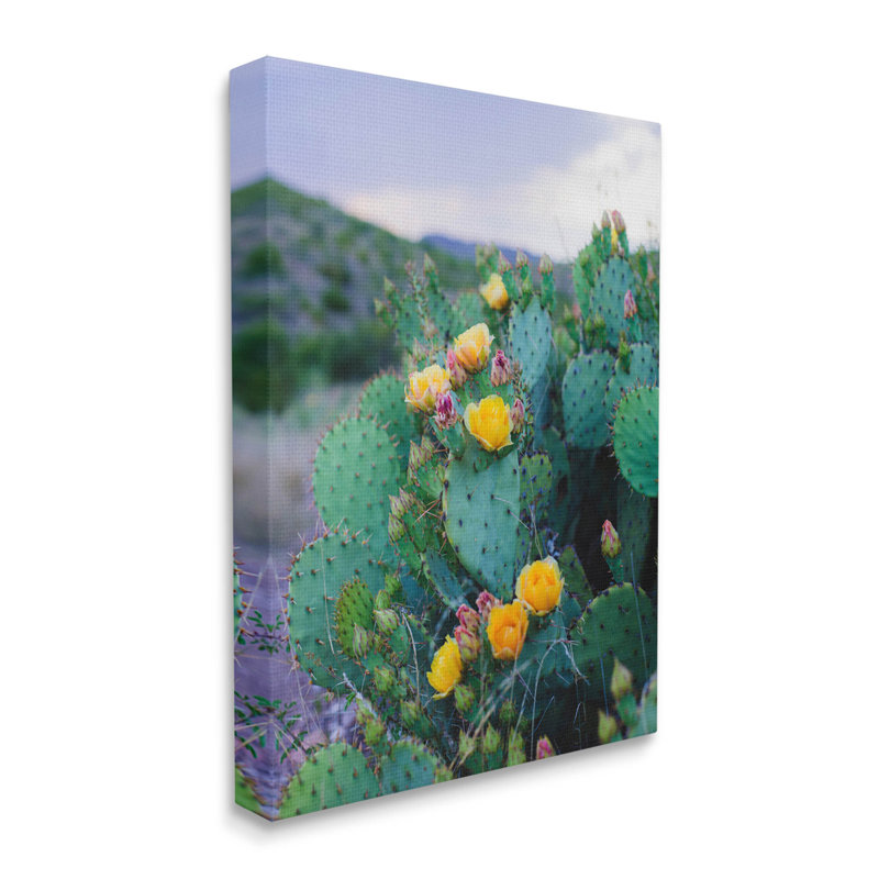 Vivid Cactus Blossoms - Photographie sur toile tendue, H 20 po x l 16 po x P 1,5 po