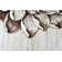 Burbach Floral Indoor Rug