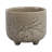 Ceramic Stoneware Planter With Raised Botanical Texture And Footed Base - Modern Decorative Garden Accent