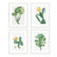 «Green Blooming Flower», ensemble de 4 fleurs de cactus du désert, impression murale encadrée sur papier, impression de 4 pièces-93012485-93012486