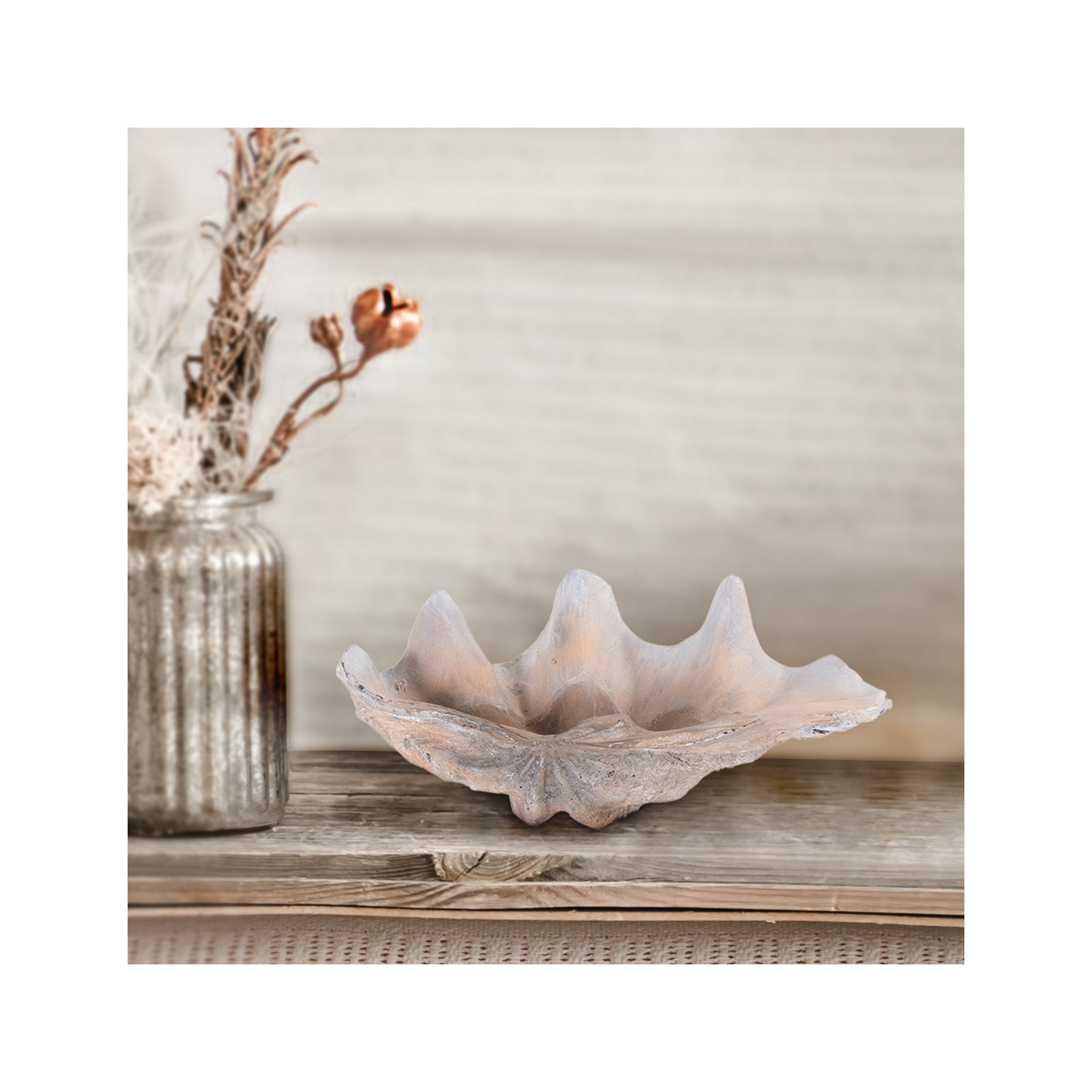Large Vongole