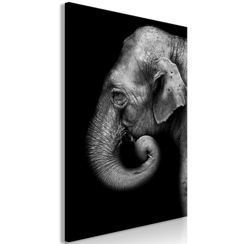 No Frame Print on Canvas, 40cm H x 60cm W