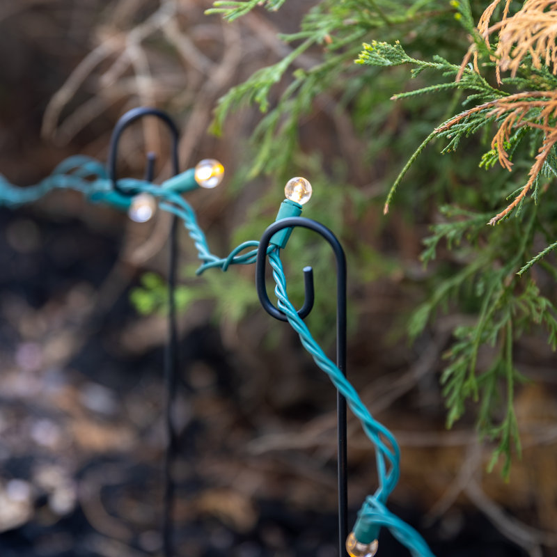 Sabas Festoon Pathway LED String Lights
