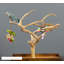 Support de jeu en bois Freese-210011154