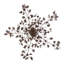 15 - Light Chandelier