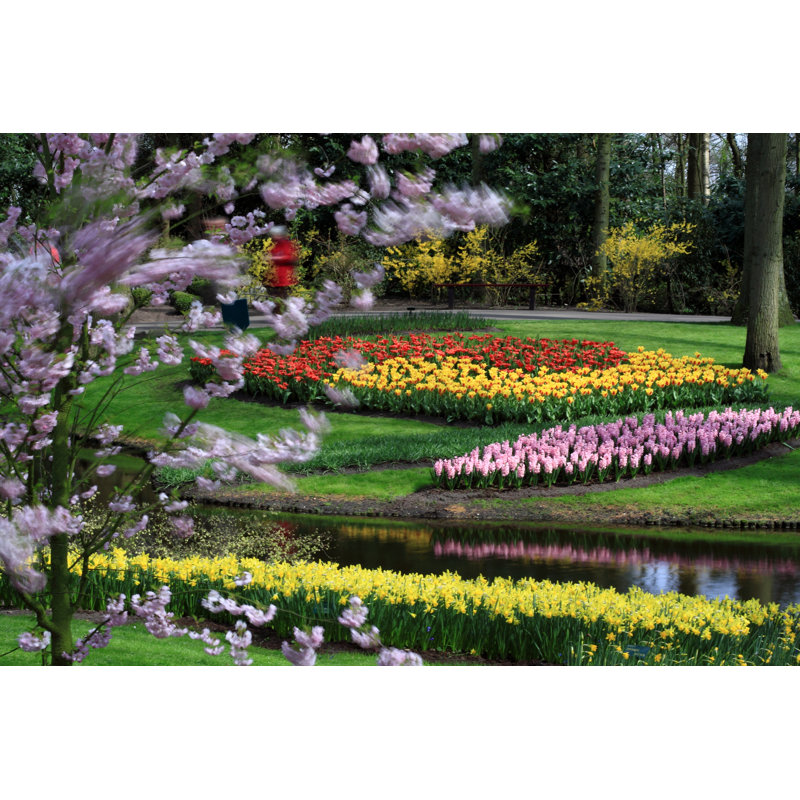 Keukenhof Flower Gardens by Ultima_Gaina - Wrapped Canvas Print, 30cm H x 46cm W 3.8cm D