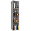 Allard Bookcase-1268359938
