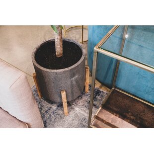 Rosecliff Heights Bahari Handmade Concrete Pot Planter & Reviews - Wayfair  Canada