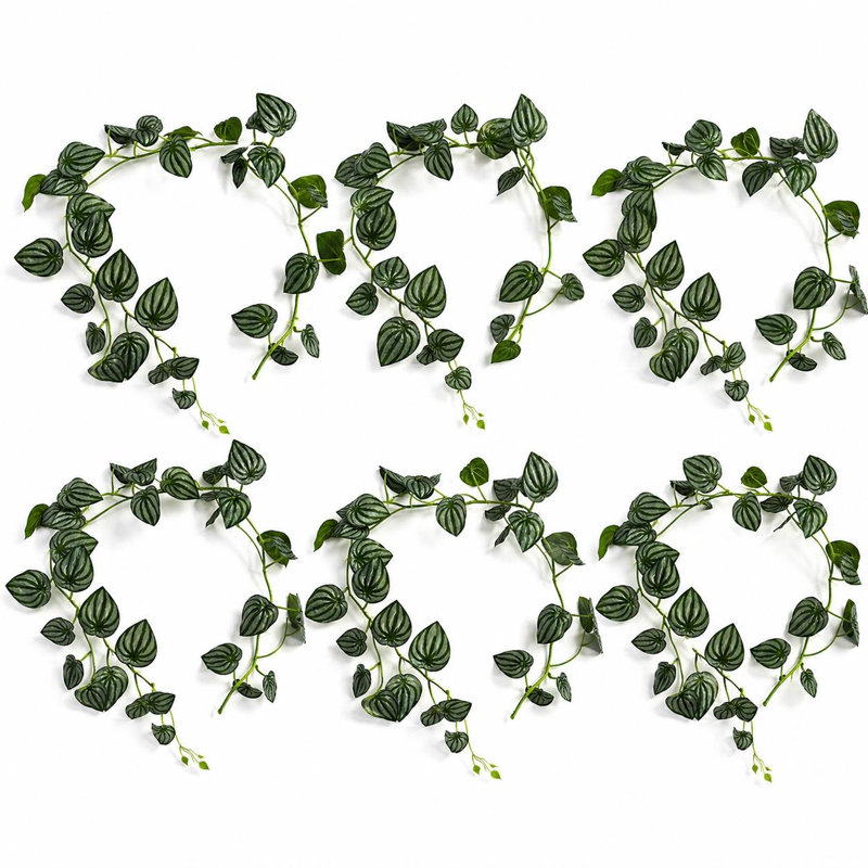 Watermelonx6 160cm Plant