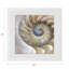 Nautilus Pearl Cotton Sateen Dinner Napkins