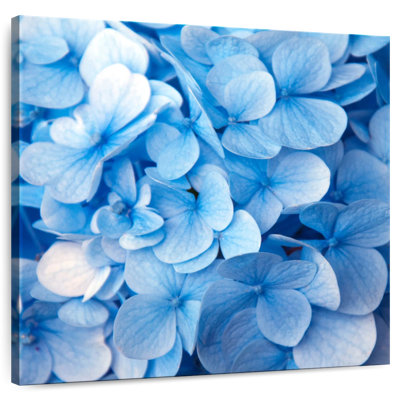 Fleurs bleues Harnek