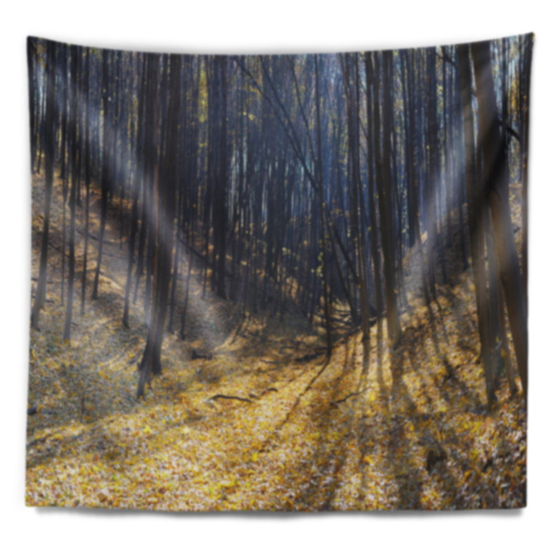 Tapisserie «Thick Autumn Forest Woods», H 68 po x l 80 po