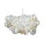 Muriel 6 - Light Chandelier