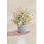 Thym artificiel en pot-354294512