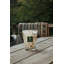Set of 4 Candle Max 10 Halona White World-887960613-887960615
