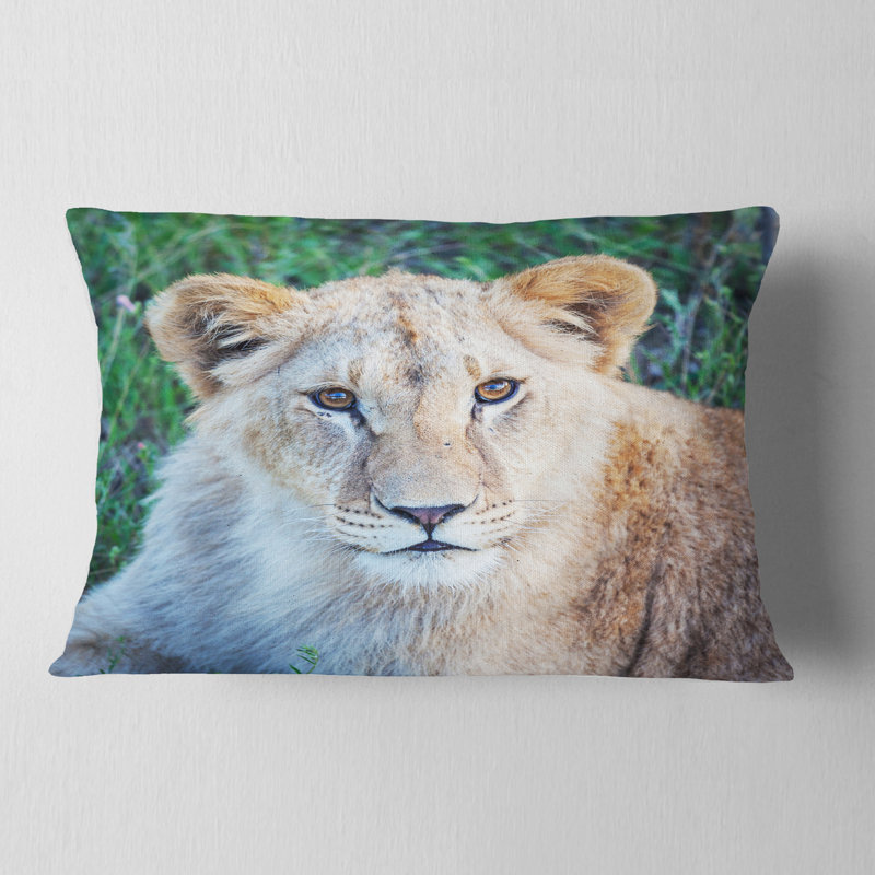 Grand lion se détendant dans la forêt - Coussin imprimé animal