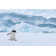 Gentoo Penguin Walking In Snow In Antarctica by Elmvilla - No Frame Art Prints on Canvas