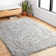 Aarav Indoor Rug