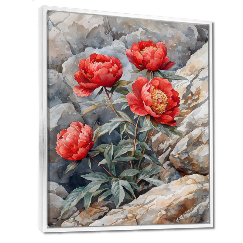 Pivoines par l'affleurement rocheux III - Pivoines, reproductions encadrées, H 40 po x l 30 po, Blanc