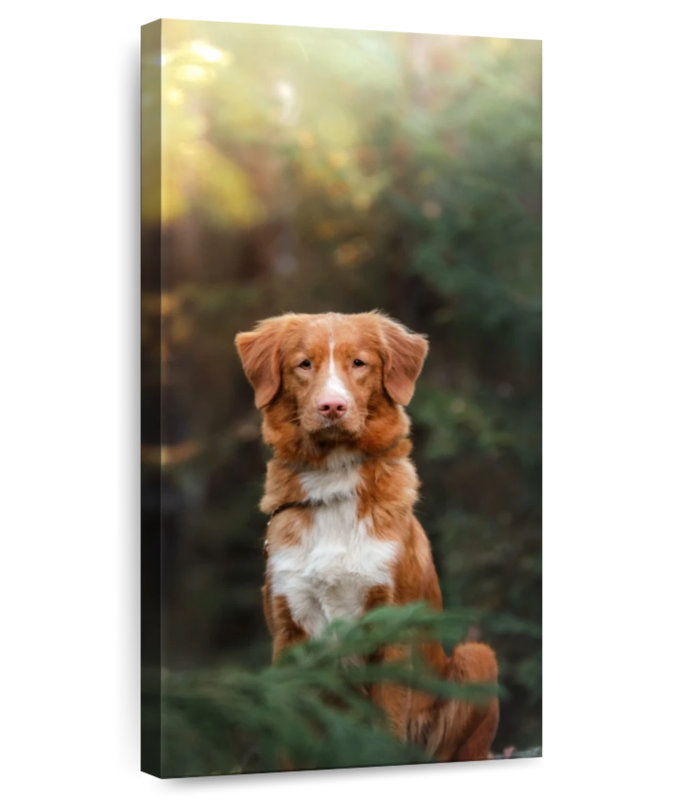 Chien retriever dans la forêt, H 48 po x l 24 po