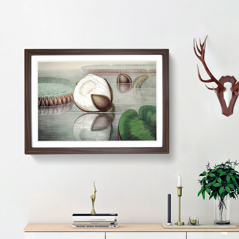 Gigantic Water Lily Opening by William Sharp - Picture Frame Painting Print, Walnut Framed, 36cm H x 48cm W x 2cm D