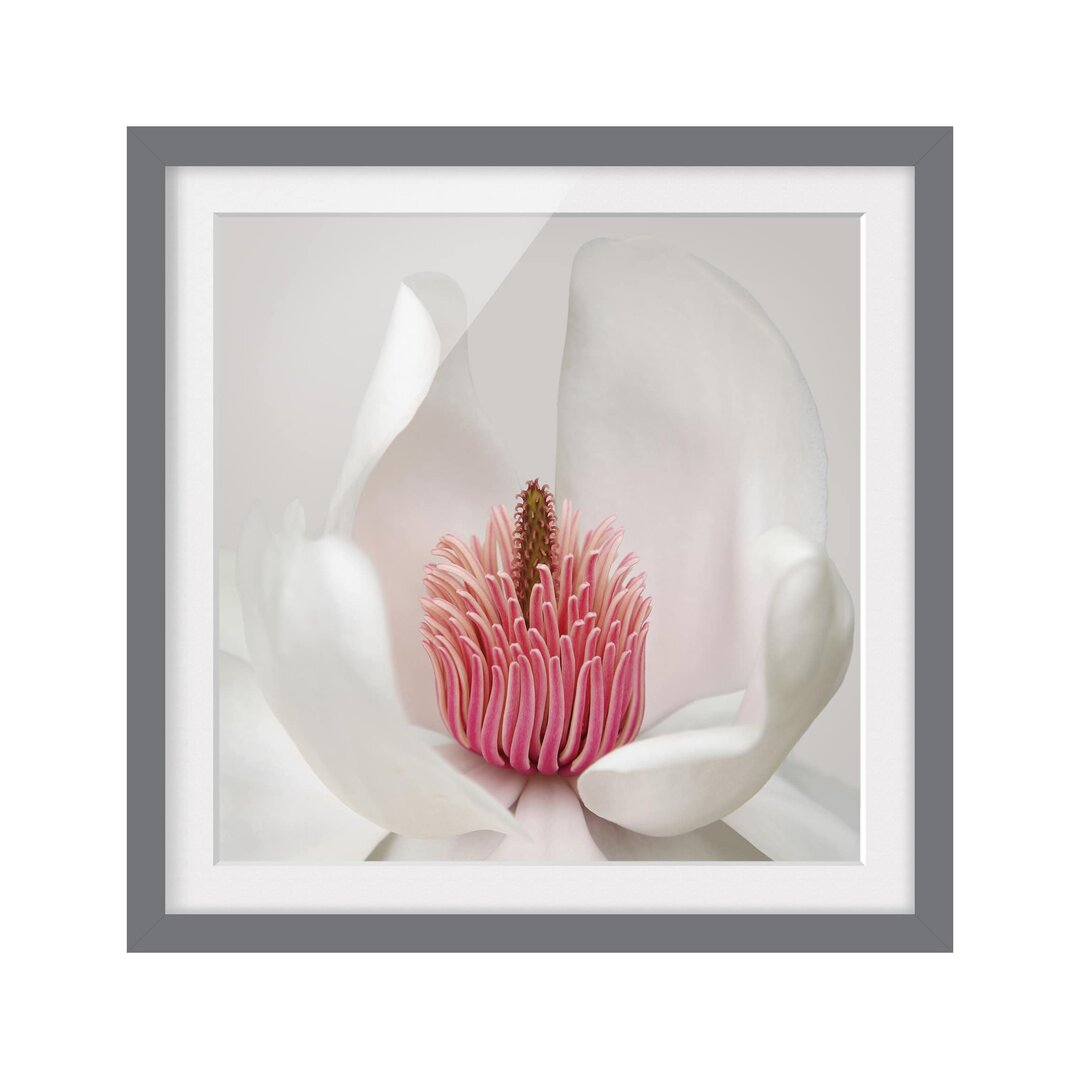 Gerahmtes Papierbild Magnolie in Rosa