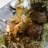 Autumn Fern Arrangement-438770657