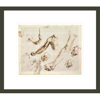 Étude des mains et des bras mâles (stylo) par Albrecht Dürer