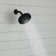 Full/Standard Fixed Shower Head 1.75 GPM GPM